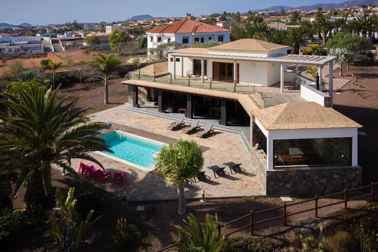 Homeforguest Oasis Villa With Swimming Pool In 4000M2 Garden Triquivijate Spain